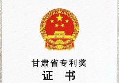 2019年甘肃省专利二等奖